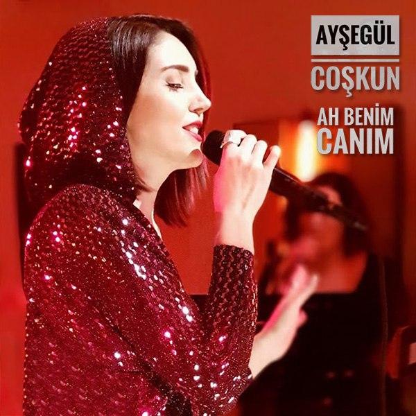دانلود آهنگ جدید Aysegul Coskun به نام Ah Benim Canim