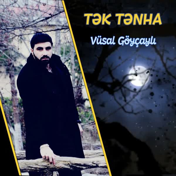 دانلود آهنگ جدید Vusal Goycayli بنام Tek Tenha با کیفیت بالا