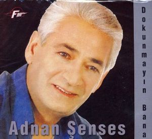 دانلود آهنگ Adnan Şenses بنام Sabredemedim